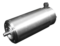 Stainless IEC Motors